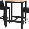 Barhocker Outdoor DANTE 100BR mit Rückenlehne, schwarz