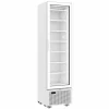 Glastür-Tiefkühlschrank 221L, 494x521x1915mm