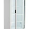 Glastür-Tiefkühlschrank Marin Umluft, 520x740x1935mm