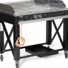 GRAFEN Gasgrill Atlanta 3 Brennern 13kW