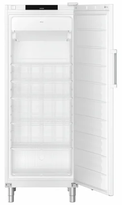 Liebherr Gastronomie Gefrier-Lagerkühlschrank FFFvg 6501 Performance