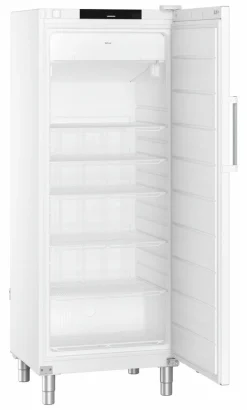 Liebherr Gastronomie Gefrier-Lagerkühlschrank FFFvg 6501 Performance