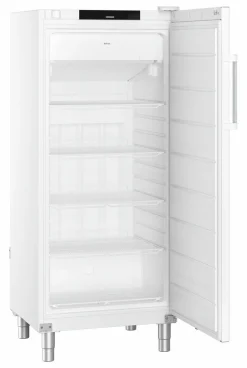 Liebherr Gastronomie Gefrier-Lagerkühlschrank FFFvg 5501 Performance