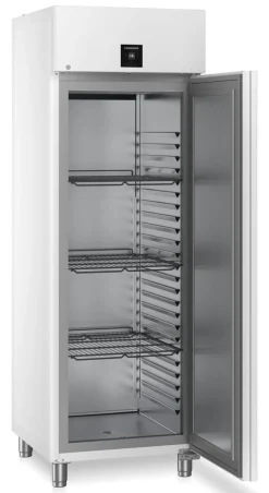 Liebherr Gastronomie Gefrier-Lagerkühlschrank FFPvg 6501 Performance