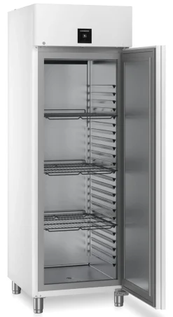 Liebherr Gastronomie Lagerkühlschrank FRPvg 6501 Performance