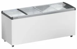 Liebherr Gewerbe Gefriertruhe Tiefkühltruhe EFE 6052 mit Glasschiebedeckel