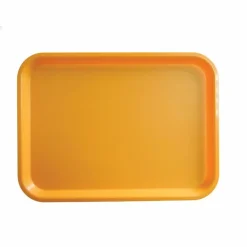 Polypropylen Tablett 415x305mm