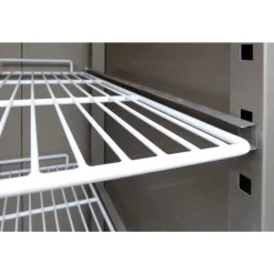 Skyrainbow Edelstahl Umluft-Tiefkühlschrank GN2/1 610 Liter
