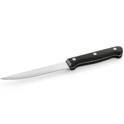 Steak-/Pizzamesser Set, mit Kunststoffgriff, 21 cm, Set á 12 Stück, Edelstahl