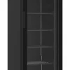 Tiefkühlschrank 1 Glastür Schwarz 221L, Breite 494mm