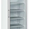 Tiefkühlschrank TK 371 G, 595x600x1825 mm